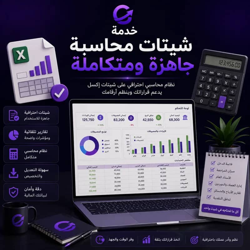 Ready-made professional accounting spreadsheets service - شيتات محاسبة